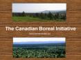 The Canadian Boreal Initiative