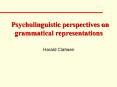 Psycholinguistic perspectives on grammatical representations