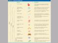 Nerve activates contraction