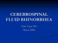CEREBROSPINAL FLUID RHINORRHEA
