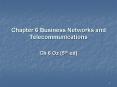 Chapter 6 Business Networks and Telecommunications