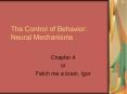 The Control of Behavior: Neural Mechanisms