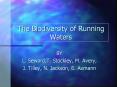 The Biodiversity of Running Waters