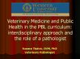 Veterinary Medicine and Public Health in the PBL curriculum: interdisciplinary approach and the role