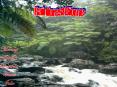 Name of Biome