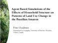 Agent Based Simulations of the Effects of Household Structure on Patterns of Land Use Change in the