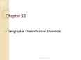 Geographic Diversification Domestic