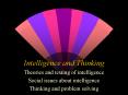 Intelligence and Thinking