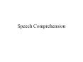 Speech Comprehension