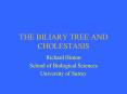 THE BILIARY TREE AND CHOLESTASIS