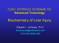 TOXC 707PHCO 707ENVR 731 Advanced Toxicology Biochemistry of Liver Injury