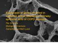 Expression of genes involved in oxidative stress responses in airway epithelial cells of COPD smoker