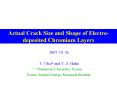 Actual Crack Size and Shape of Electrodeposited Chromium Layers