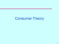 Consumer Theory