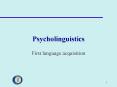 Psycholinguistics