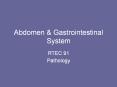 Abdomen