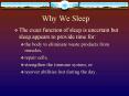 Why We Sleep