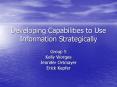 Developing Capabilities to Use Information Strategically