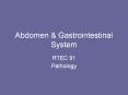 Abdomen