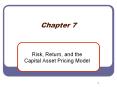 Risk, Return, and the Capital Asset Pricing Model
