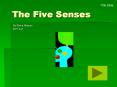 The Five Senses