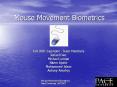 Mouse Movement Biometrics
