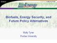 Biofuels, Energy Security, and Future Policy Alternatives