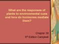 What are the responses of plants to environmental cues and how do hormones mediate them
