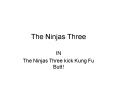 The Ninjas Three