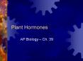 Plant Hormones
