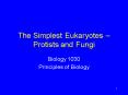The Simplest Eukaryotes Protists and Fungi