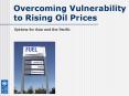 Overcoming Vulnerability to Rising Oil Prices