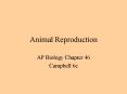 Animal Reproduction