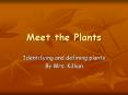 Meet the Plants