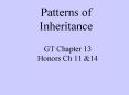 GT Chapter 13 Honors Ch 11