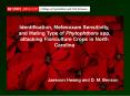 Identification, Mefenoxam Sensitivity, and Mating Type of Phytophthora spp. attacking Floriculture C