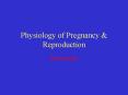 Physiology of Pregnancy