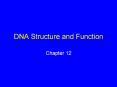 DNA Structure and Function