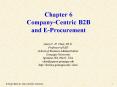 Chapter 6 CompanyCentric B2B and EProcurement