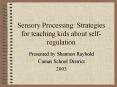 Sensory Processing: Strategies for teaching kids about selfregulation