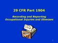 29 CFR Part 1904