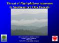 Threat of Phytophthora ramorum to Southeastern Oak Forests