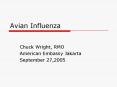 Avian Influenza