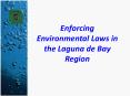 Enforcing Environmental Laws in the Laguna de Bay Region