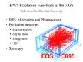 E895 Excitation Functions at the AGS Mike Lisa, The Ohio State University