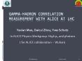 GammaHadron Correlation MeasureMENT WITH ALICE at LHC