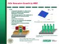 SiGe Nanowire Growth by MBE