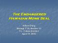The Endangered Hawaiian Monk Seal