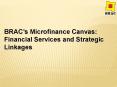 BRACs Microfinance Canvas: Financial Services and Strategic Linkages