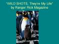 WILD SHOTS, Theyre My Life by Ranger Rick Magazine